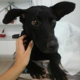 Debora GOMES de Oliveira 