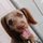 Monalisa Rodrigues Soares 