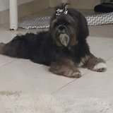 Nina