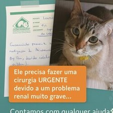 imagem de Sandra de Paula