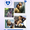 Imagem de avatar do usuário