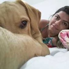 Labrador Ralph