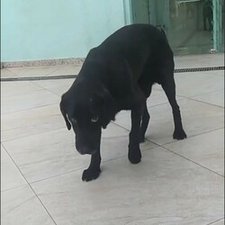Imagem de avatar do usuário