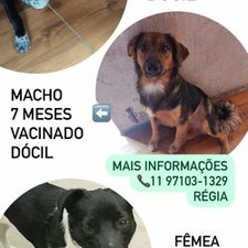 Imagem de avatar do usuário