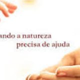 Tentantes Solidárias