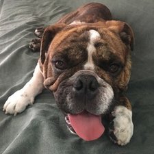 imagem de Fernanda Kroll