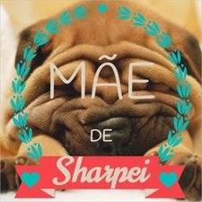 imagem de Danielly Cristina Mendes