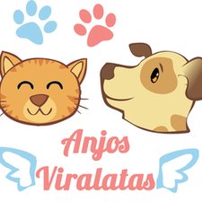 Anjos Viralatas