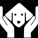 Projeto Animal Protegido