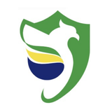 Associação Brasileira de Dodgeball