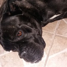 imagem de Juliana Pinto de oliveira