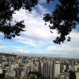 Patricia Caristo