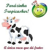 Paulinho Rosenbaum