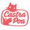 Castra Poa