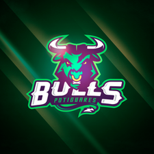 Bulls Potiguares