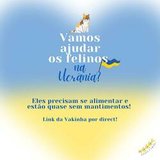Beatriz Ribeiro