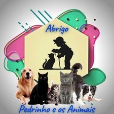 imagem de Abrigo Pedrinho e os Animais 