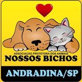 Associação Protetora dos Animais de Andradina