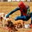 Homem Aranha De Samambaia 