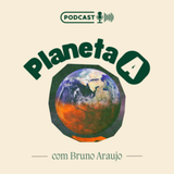 Bruno Araujo