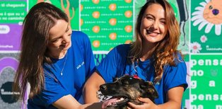 pages.ongLp.altImageOng