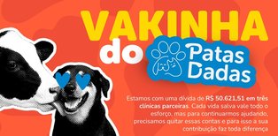 pages.ongLp.altImageOng