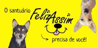 pages.ongLp.altImageOng