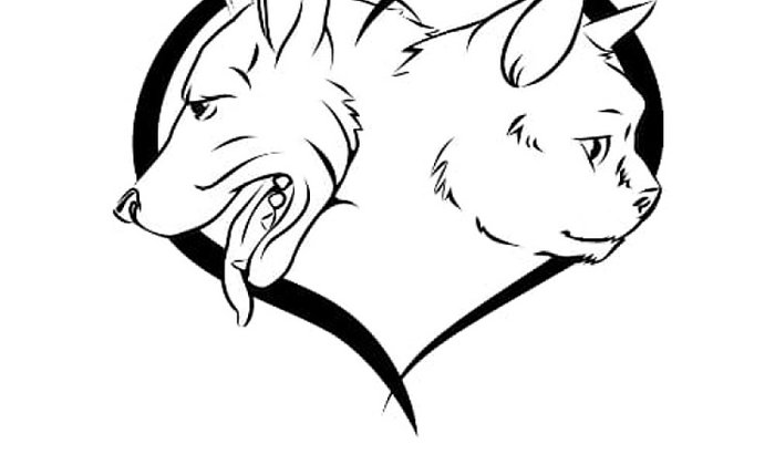 FOCINHOS DE TRANCOSO