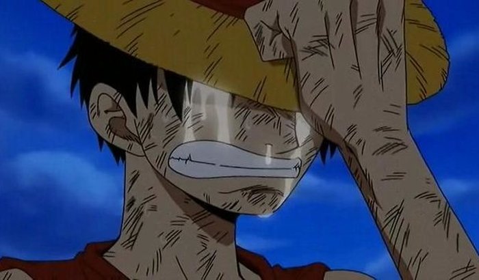 AJUDE O CAPITÃO LUFFY