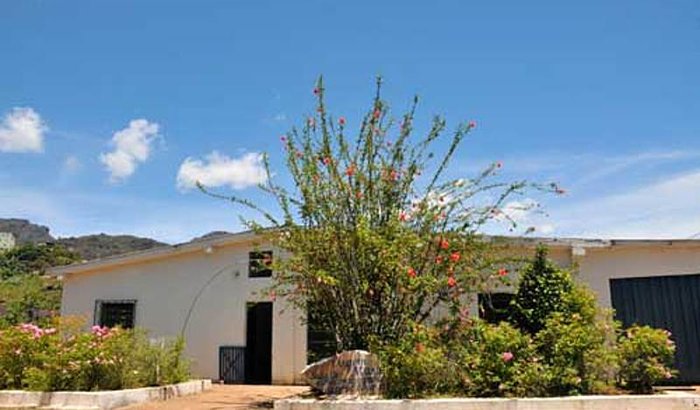 Semeai o Lírios do Campo