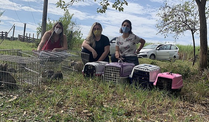 DESPESAS DO RESGATE DOS 47 GATOS