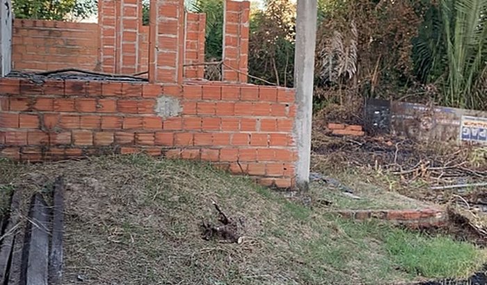 Construção de abrigo de lar temporário para animais- Teresina-PI