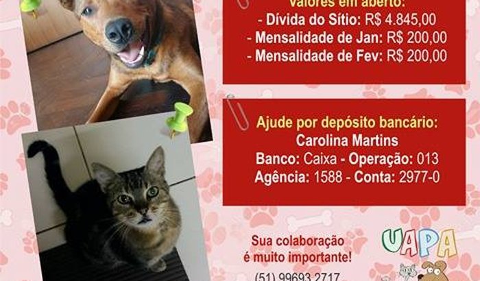 Vakinha para quitação da divida do Hotelzinho