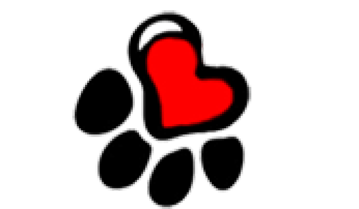 AVAC compra de medicamentos para os animais