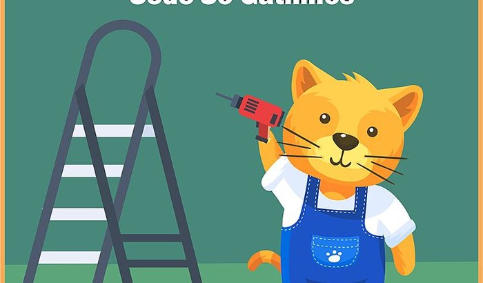 Campanha Reforma e Ampliação Sede Só Gatinhos Ribeirão Preto