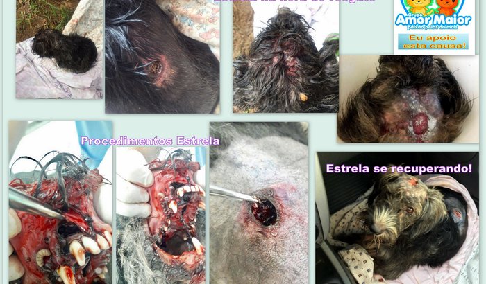 NOSSA ESTRELA ESTÁ BRILHANDO AGORA!!