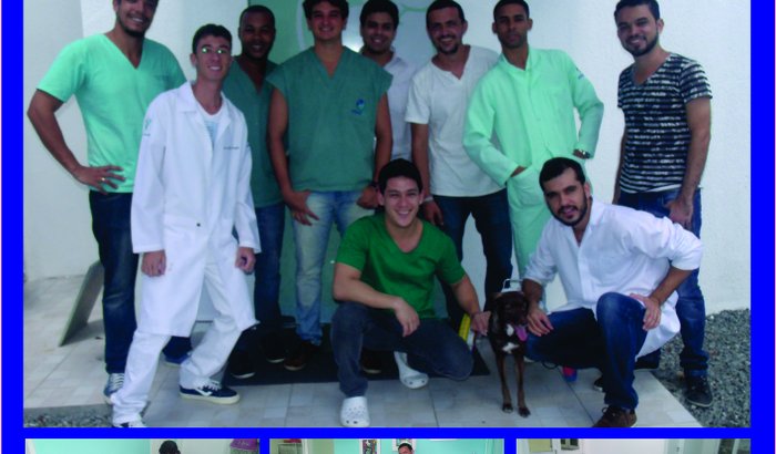 Projeto Castração de Animais Abandonados