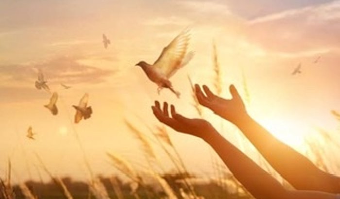 AJUDE FERNANDA E FAMÍLIA A CUSTEAR O ENTERRO DA DONA JACYRA