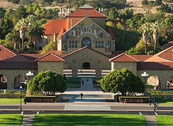 imagem da vaquinha Giácomo em Stanford