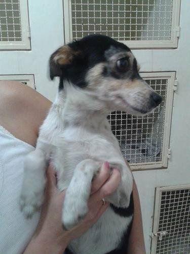  LAISON quer voltar pra casa
