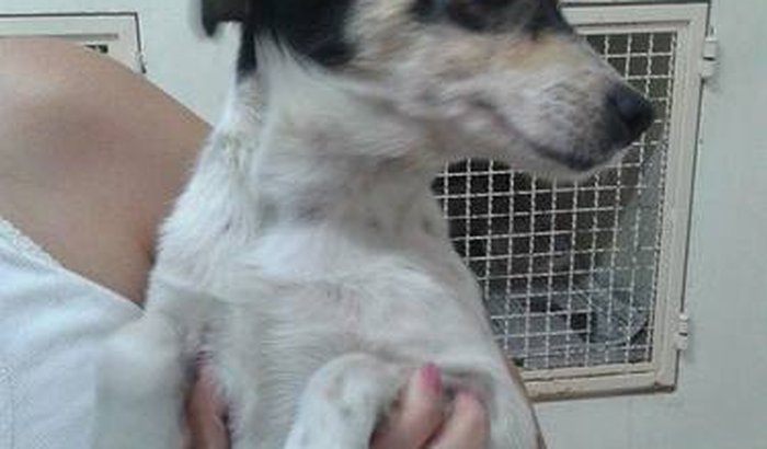  LAISON quer voltar pra casa