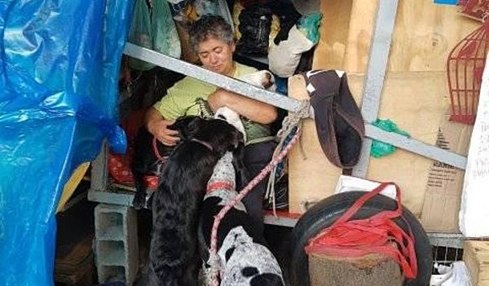 Ajude a Maria Solange Machado e seus 9 amigos