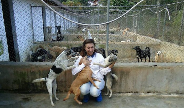 Ajuda para o Grupo Estimação/SOS Animal