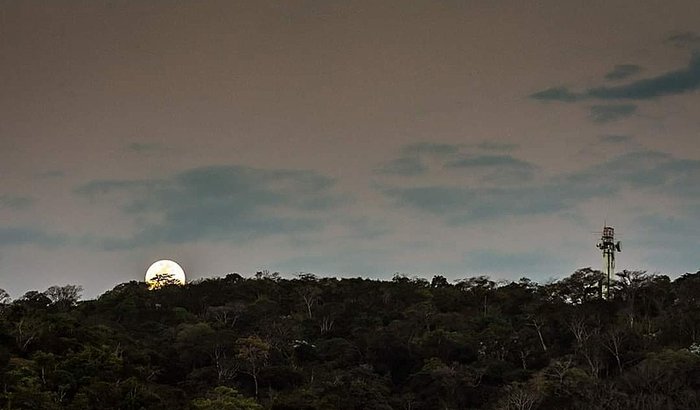 Exposição Fotográfica
