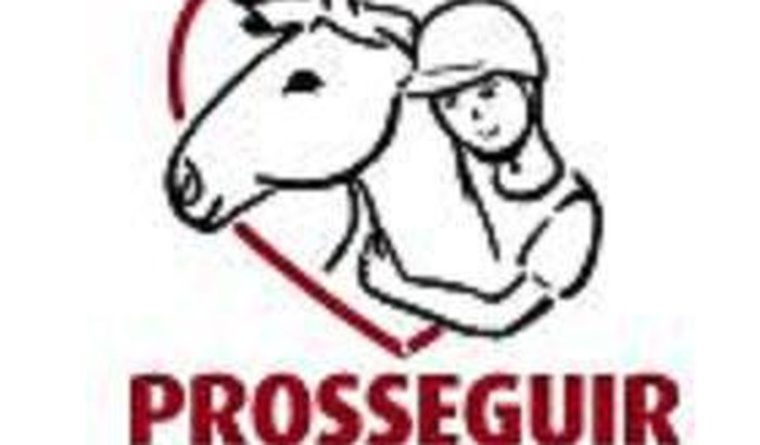 Prosseguir Equoterapia