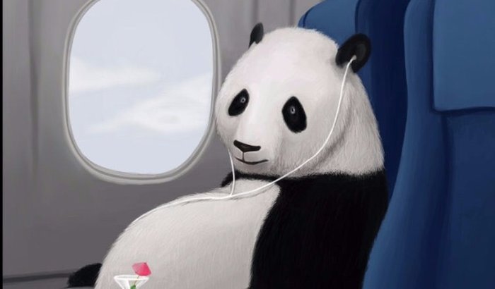 Voa Panda