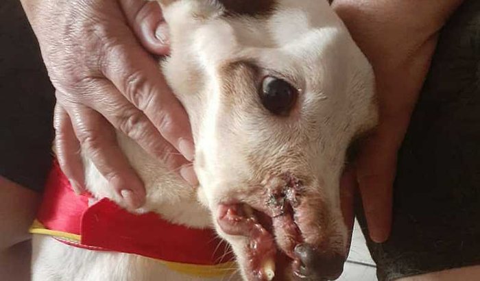 Vamos tornar a Vitoria, de fato, uma VITORIOSA!