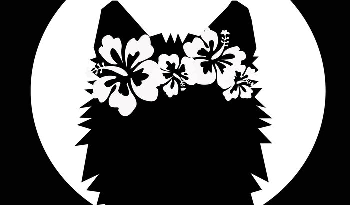 Luau de 18 anos da Duda