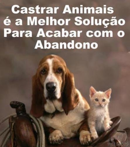 APADRINHE UMA CASTRAÇÃO!!