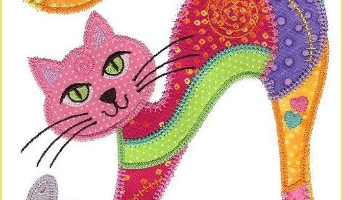 Miaudote Curitiba-Resgate e castração de gatinhos